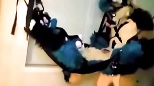 Floccus tied up and fucked