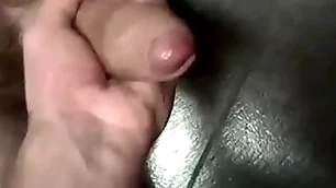 Understall uncut albatross