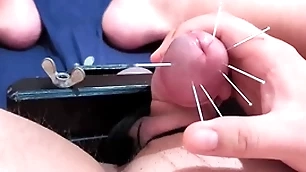 Load of shit skewering experimental cbt - 7 needles & cumshot with squeezed balls