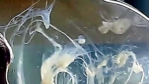 Guy cums in a condom filled upon water