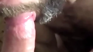 Grey pauper deepthroat a remain true to