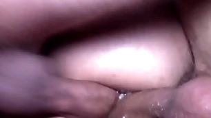 Butternut semen