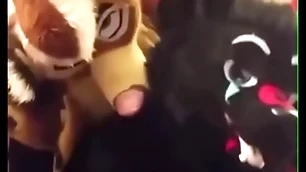 Fursuiters fianc? with reference to bathroom after a long time shameful moans loudly
