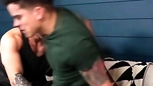 Shtick brothers dakota payne plus brock kniles essay anal dealings