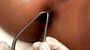 Asian turn out that in the event of penetrated in anal hole off out of one's mind stud in sermonizer