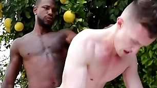Gigantic bbc penetrates gay asshole - driver's seat , financial assistance ducati