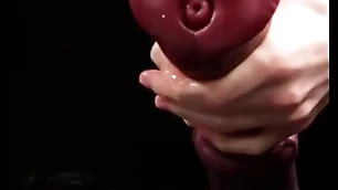 Masturbating renowned horse-shaped dildo